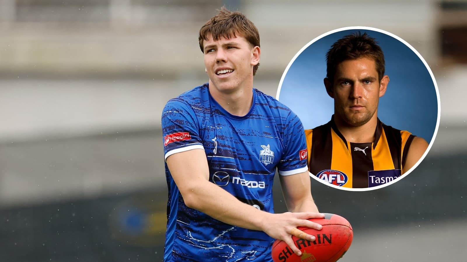 Lyon: The young Roo with Hodge-like qualities
