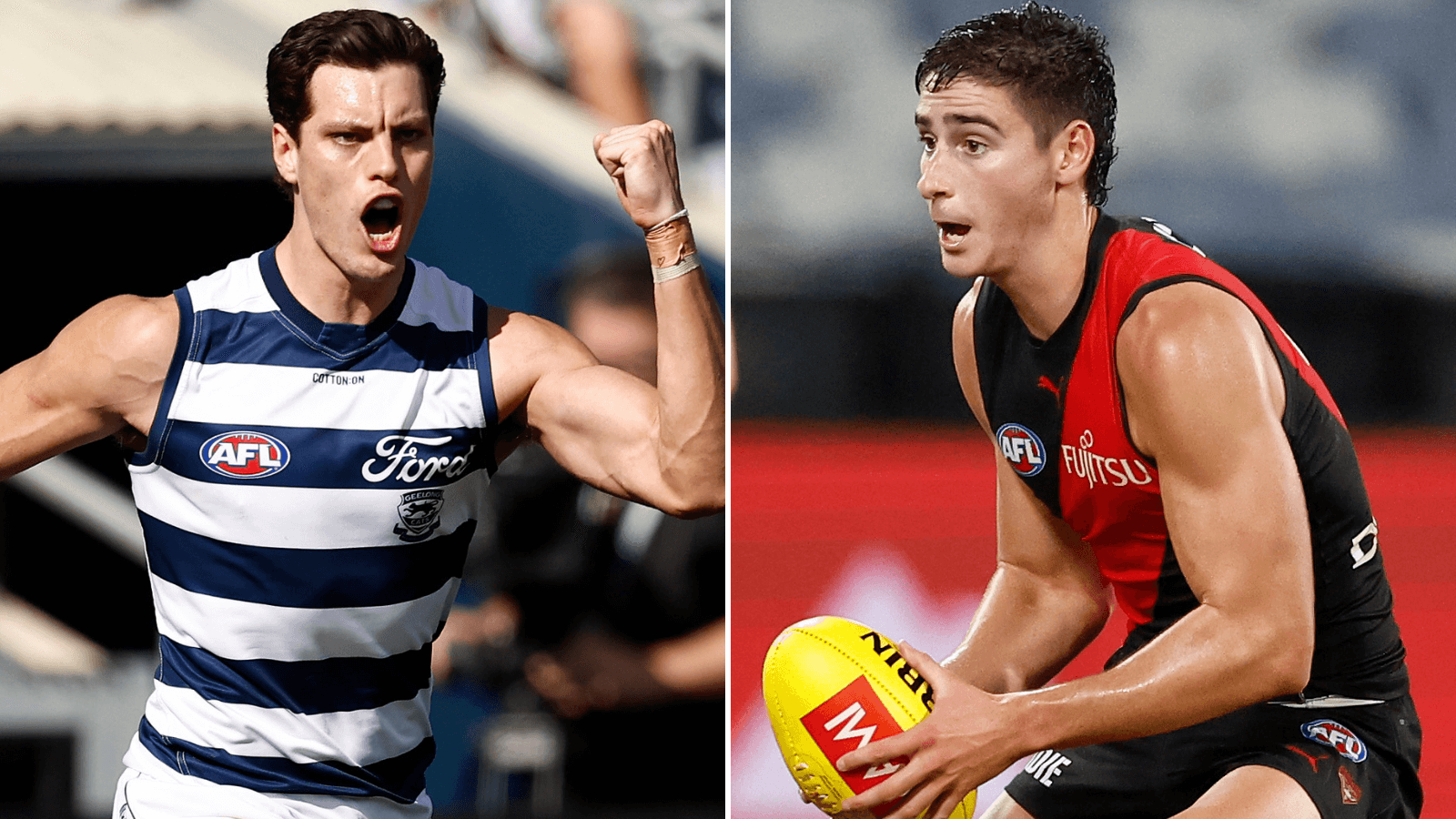 The Cats could have a new cult hero, young Don tipped to break out in 2025