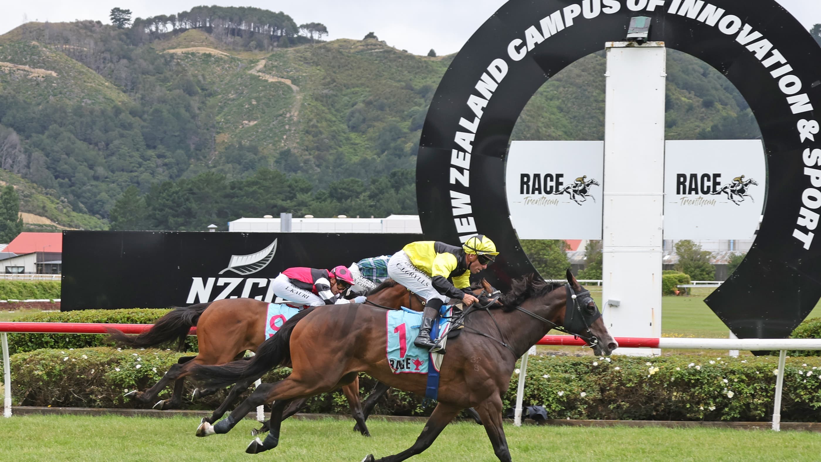 Weight and pedigree queries no bar to Wellington Cup success