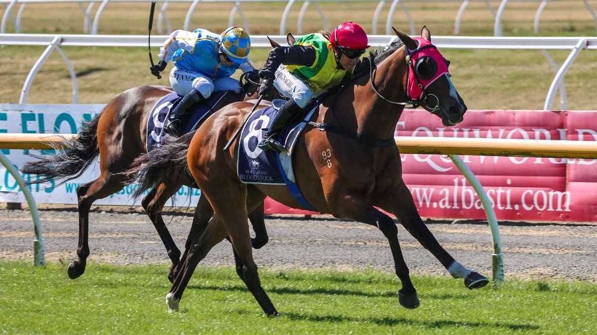 Southern mare radiant ahead of TAB Mile