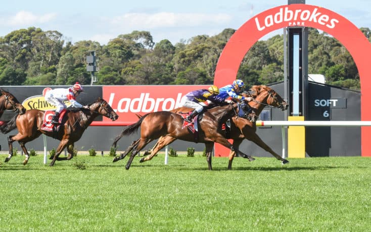 Wednesday best bets from Mick Gannon & David Taggart (24/09)