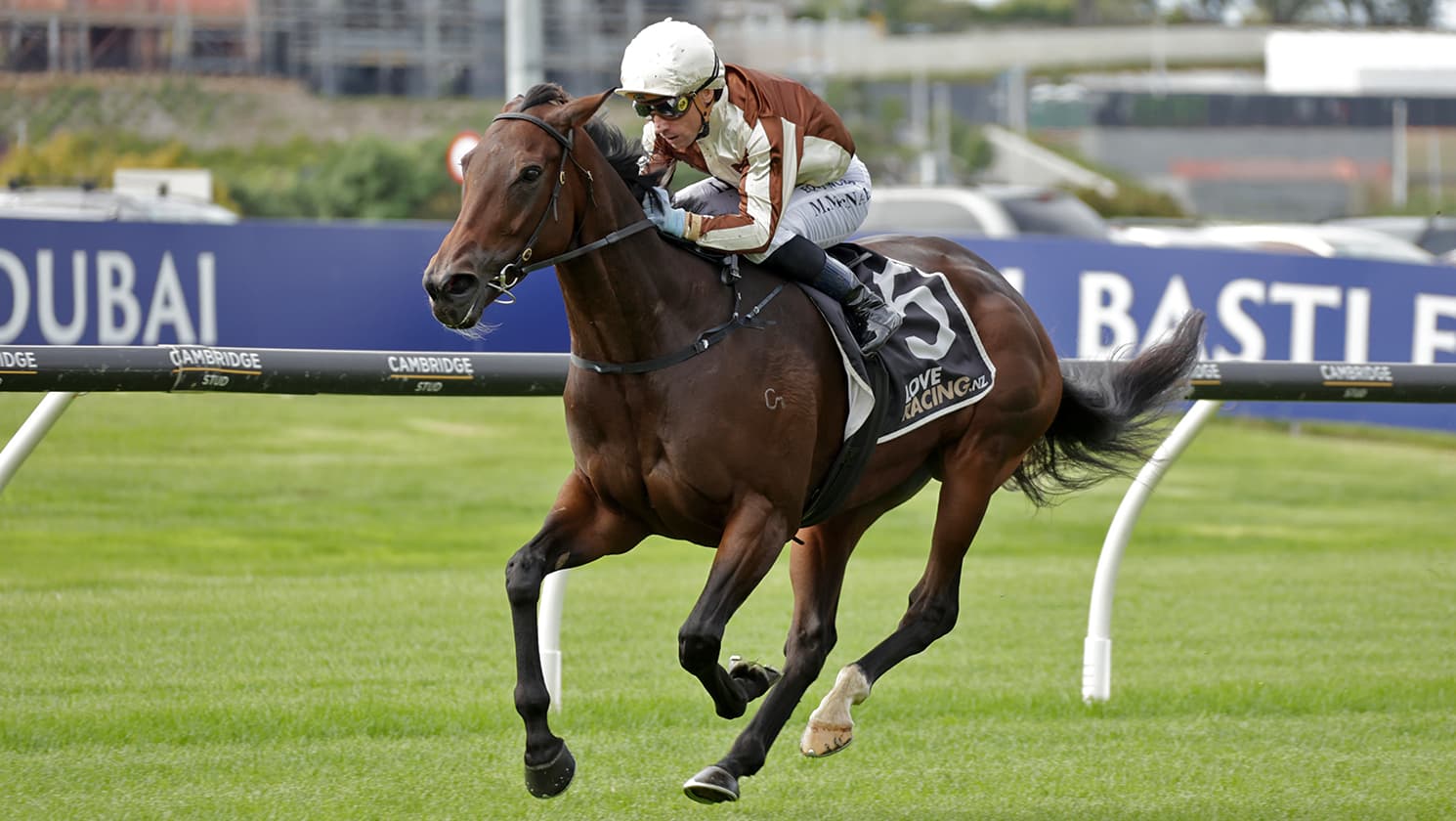 Bigger things tipped for Levakia