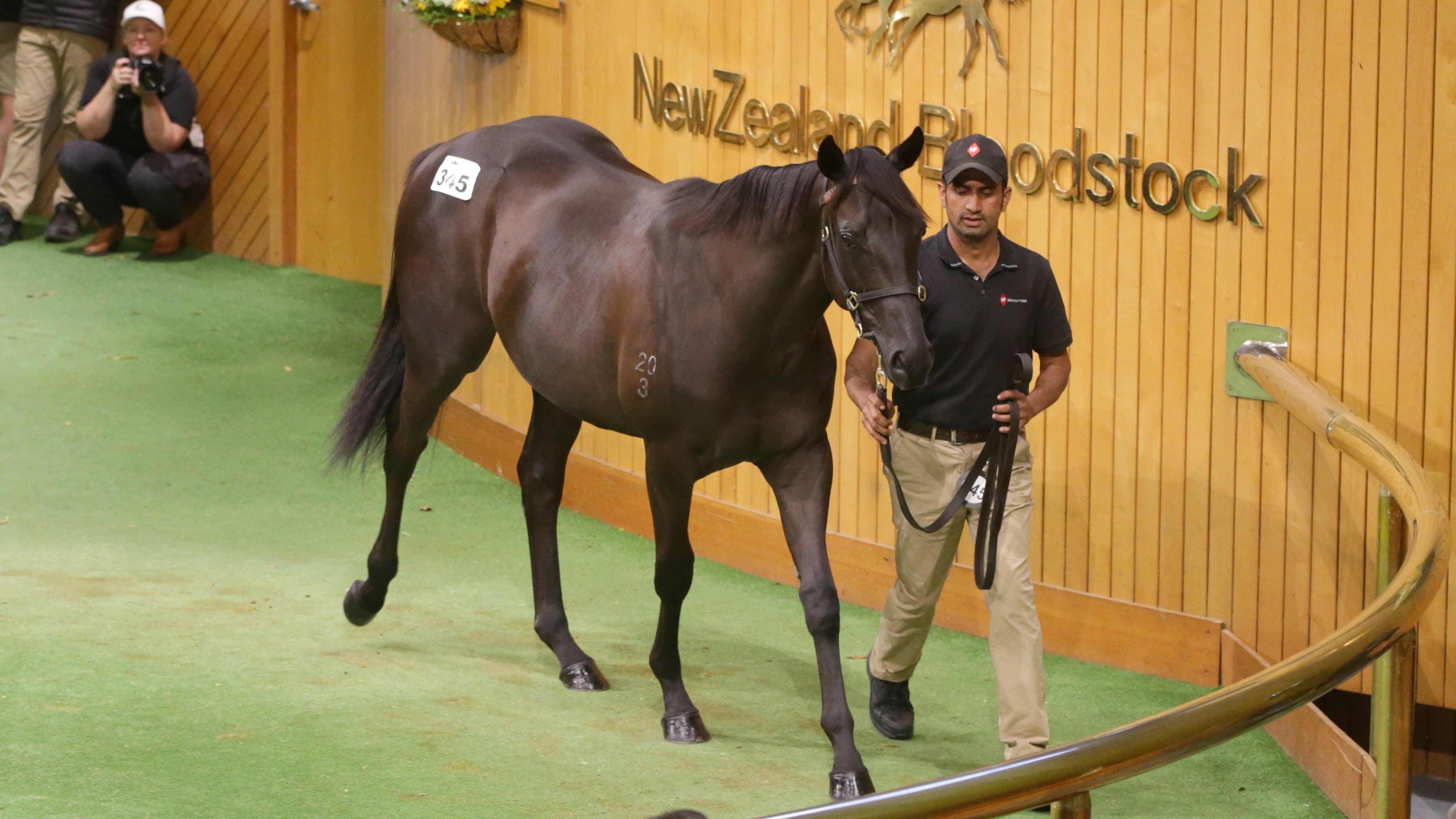 Auction room to the Racetrack: A century of Yearling Sales