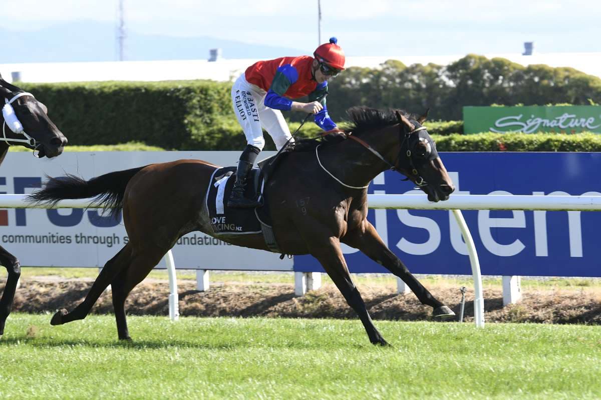 Rogersons dreaming of Melbourne Cup again with Sharp ‘N’ Smart