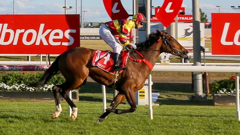 Tasracing's Friday best bets at Launceston (17/10)
