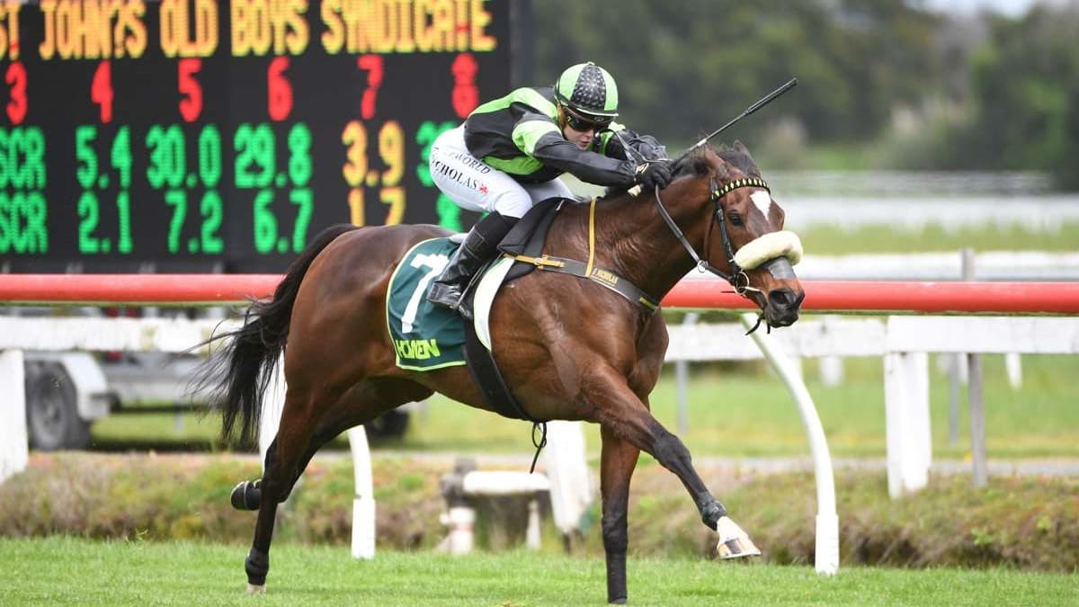 Cup hope bred to go the ultimate trip