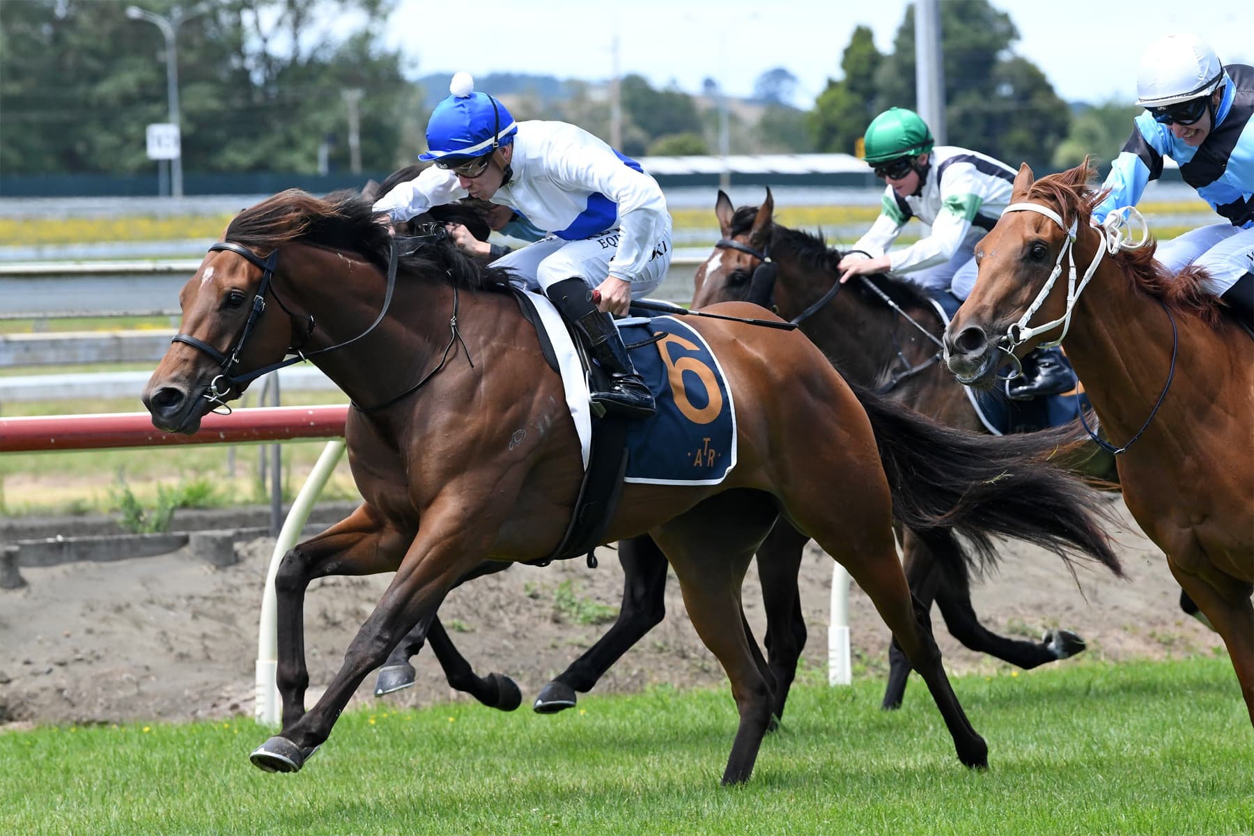 Tajana in prime order for Oaks lead-up