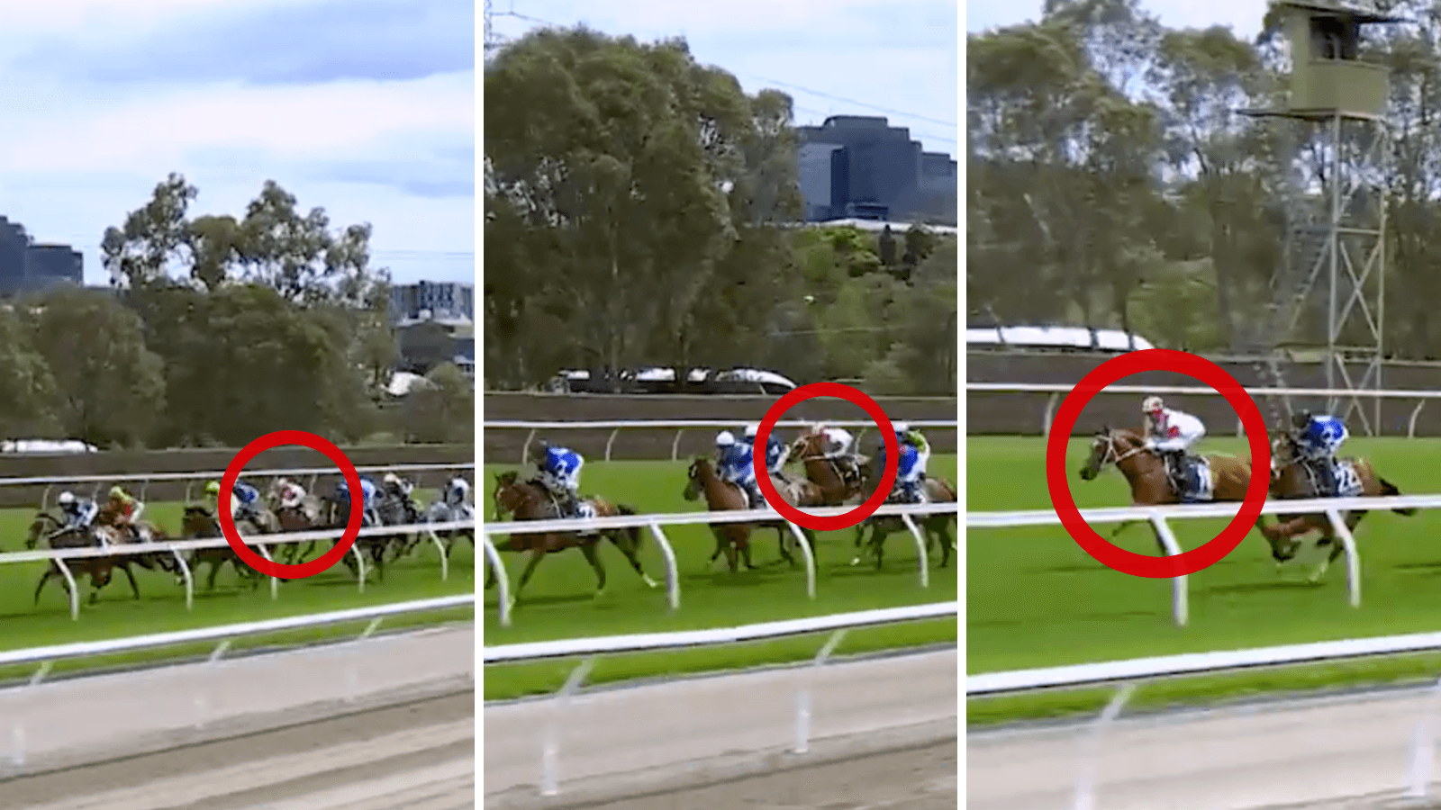 What beaten Cup jockey said to owner after mid-race madness