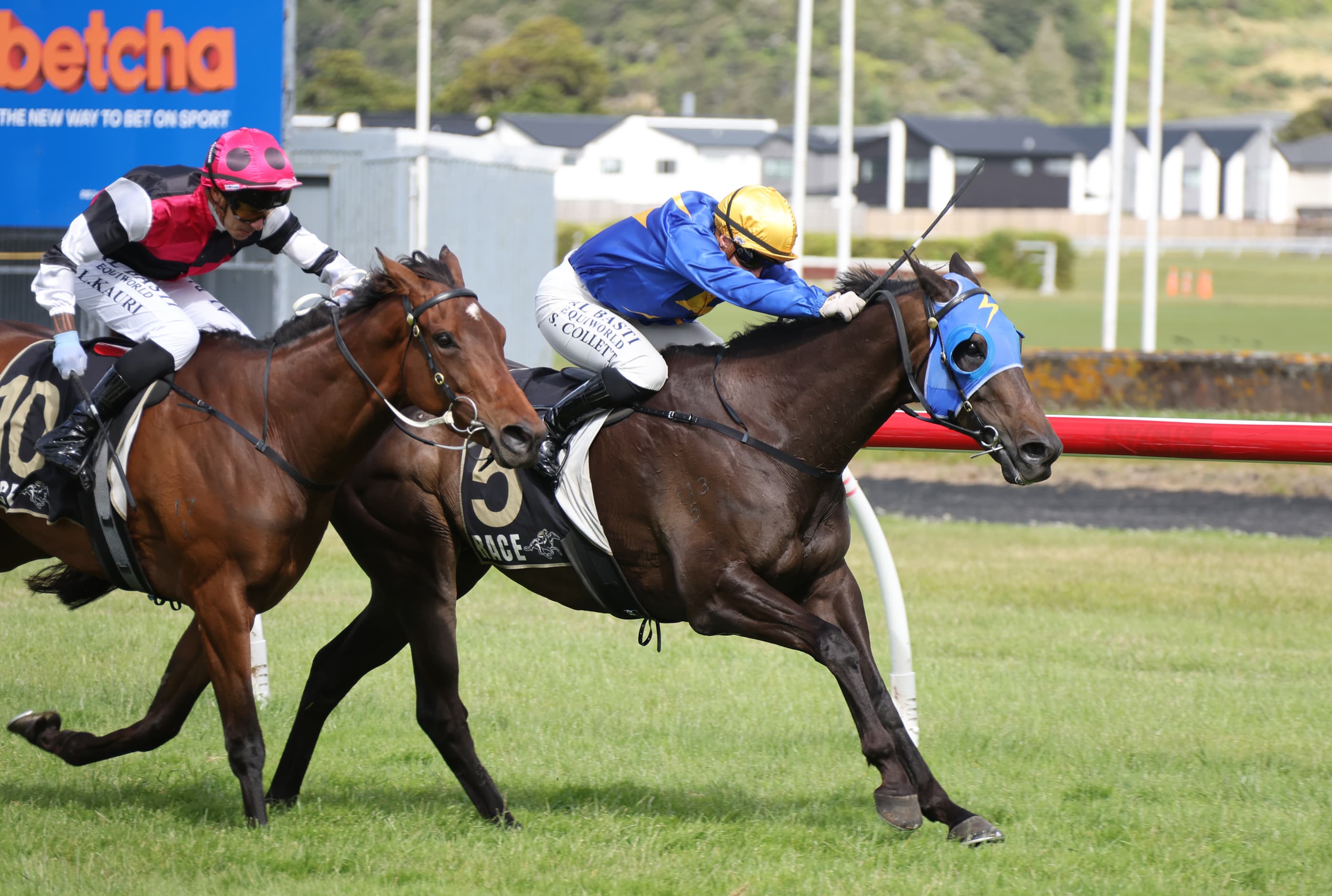 Sagunto wins third Manawatu Cup