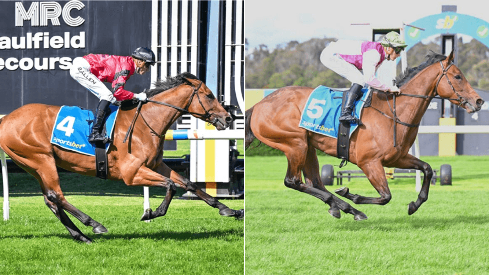 "One for your multis": Maher's camp touts top winning hope