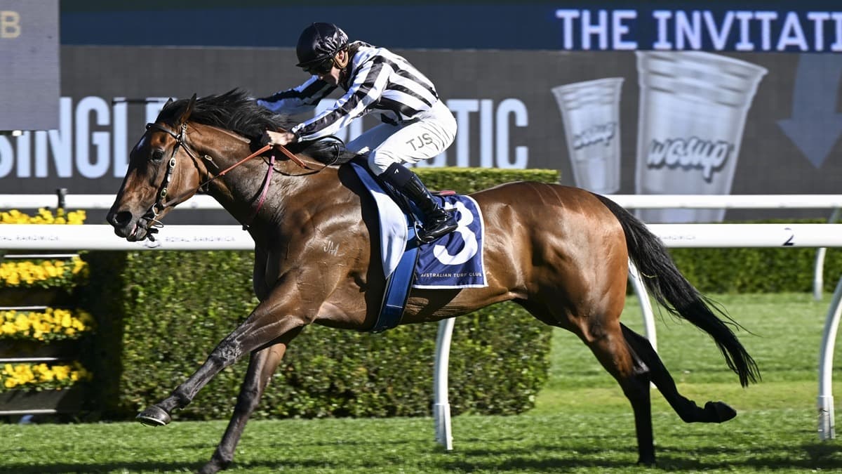Belclare aiming for NZ Thoroughbred Breeders’ Stakes threepeat