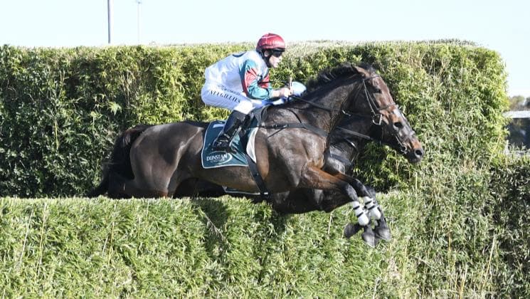 Top jumpers return to the fray at Trentham