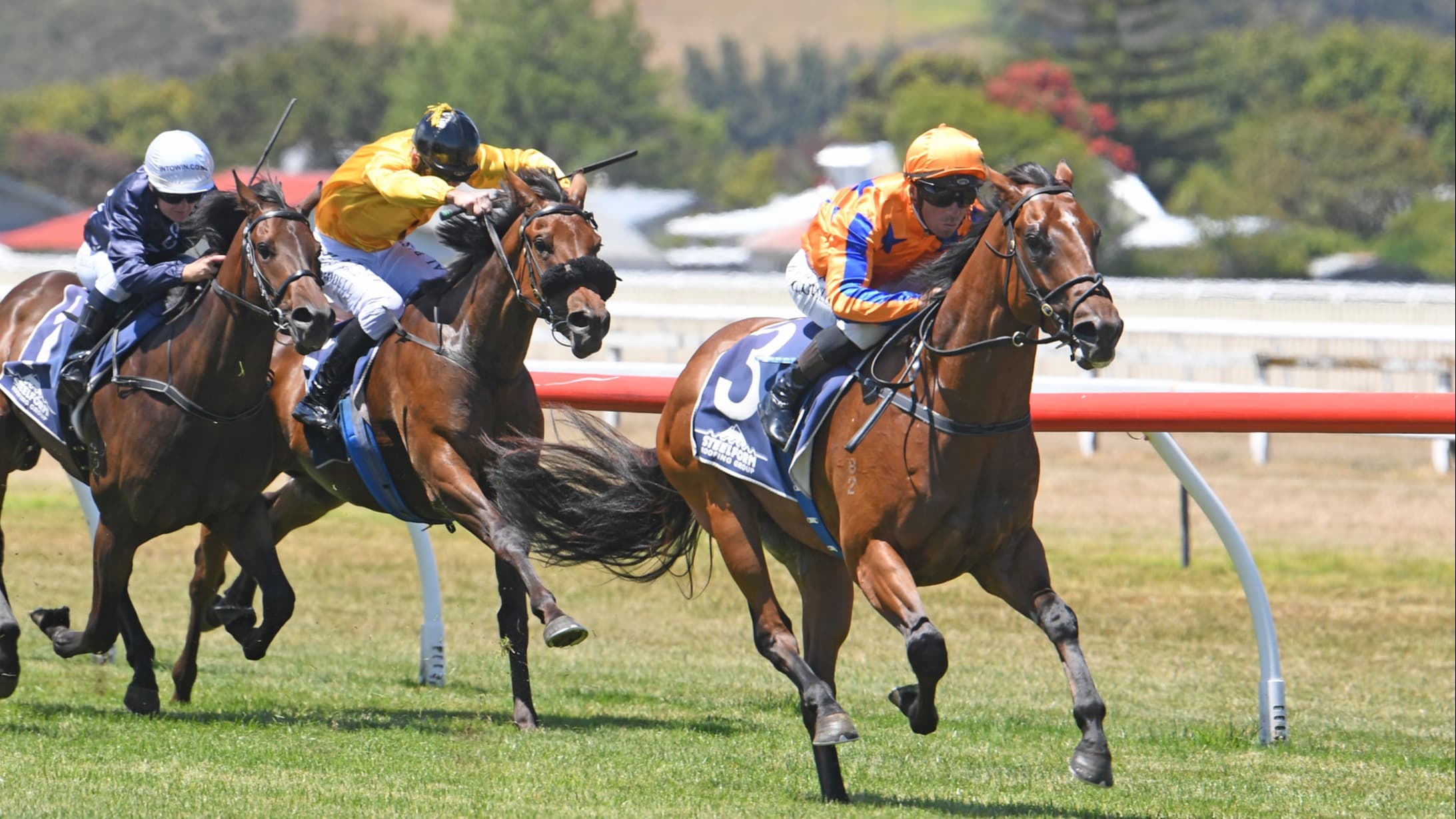 Te Akau seeks change in fortune with Guineas-bound colts