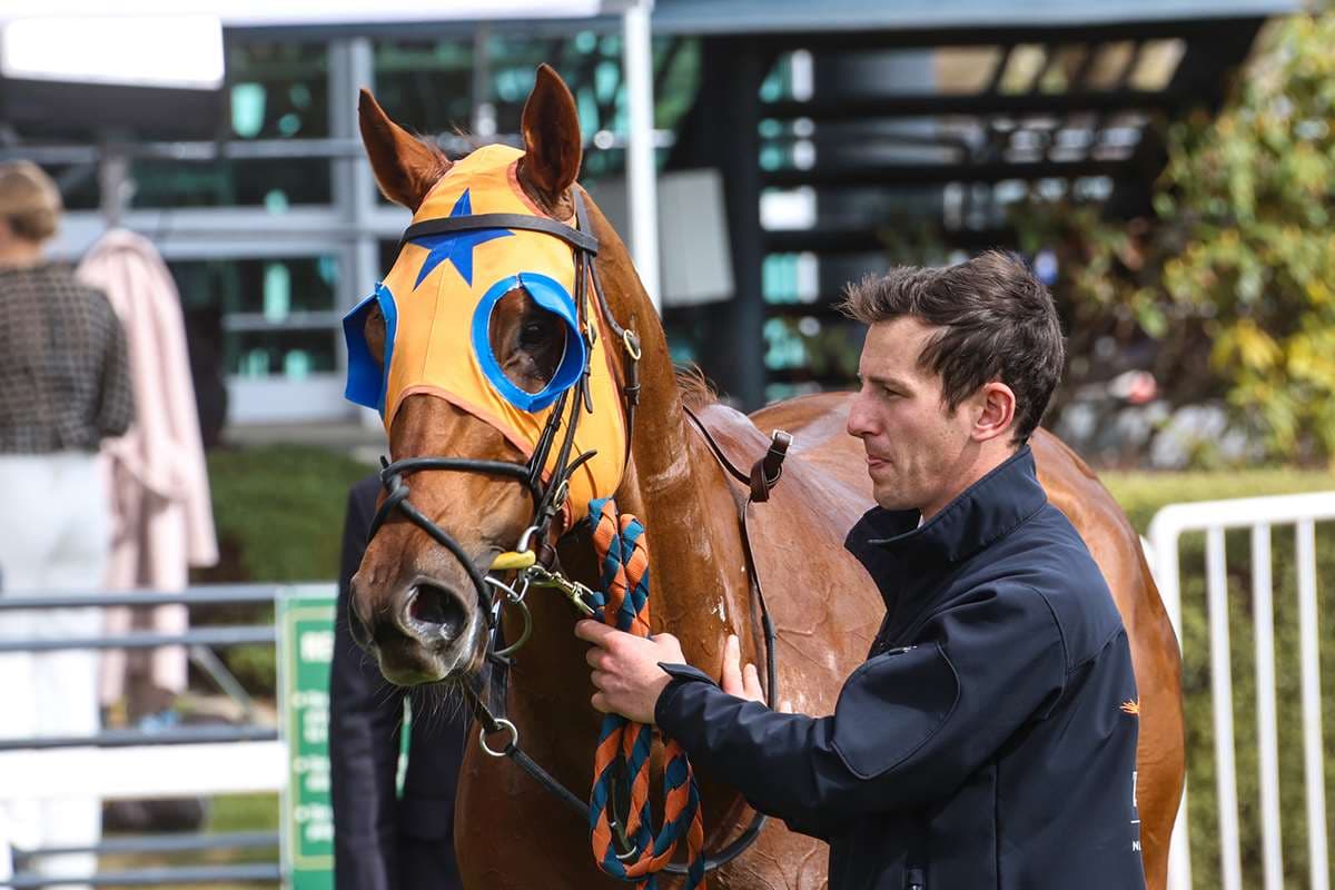 Te Akau’s Guineas contenders in holiday weekend spotlight