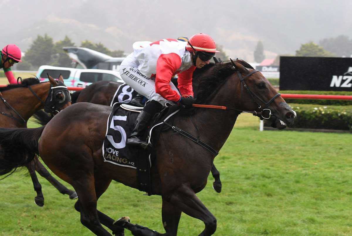 Comeback mare ready for stakes test
