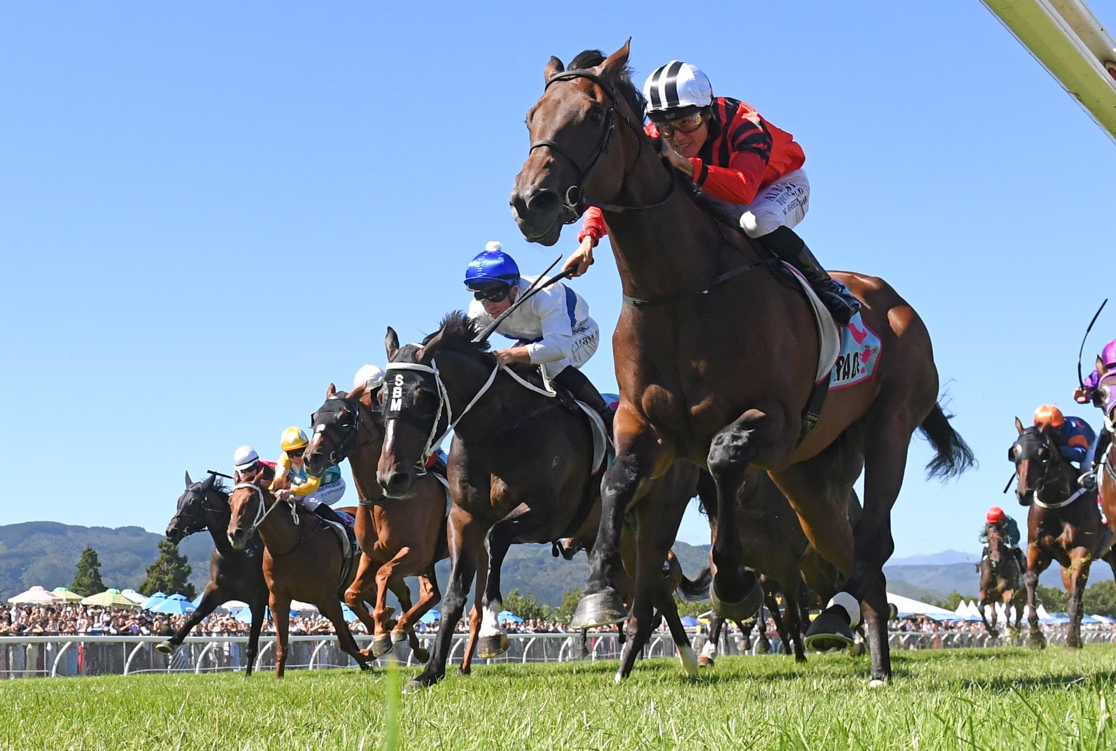 Gentle giant proves too good in Remutaka Classic