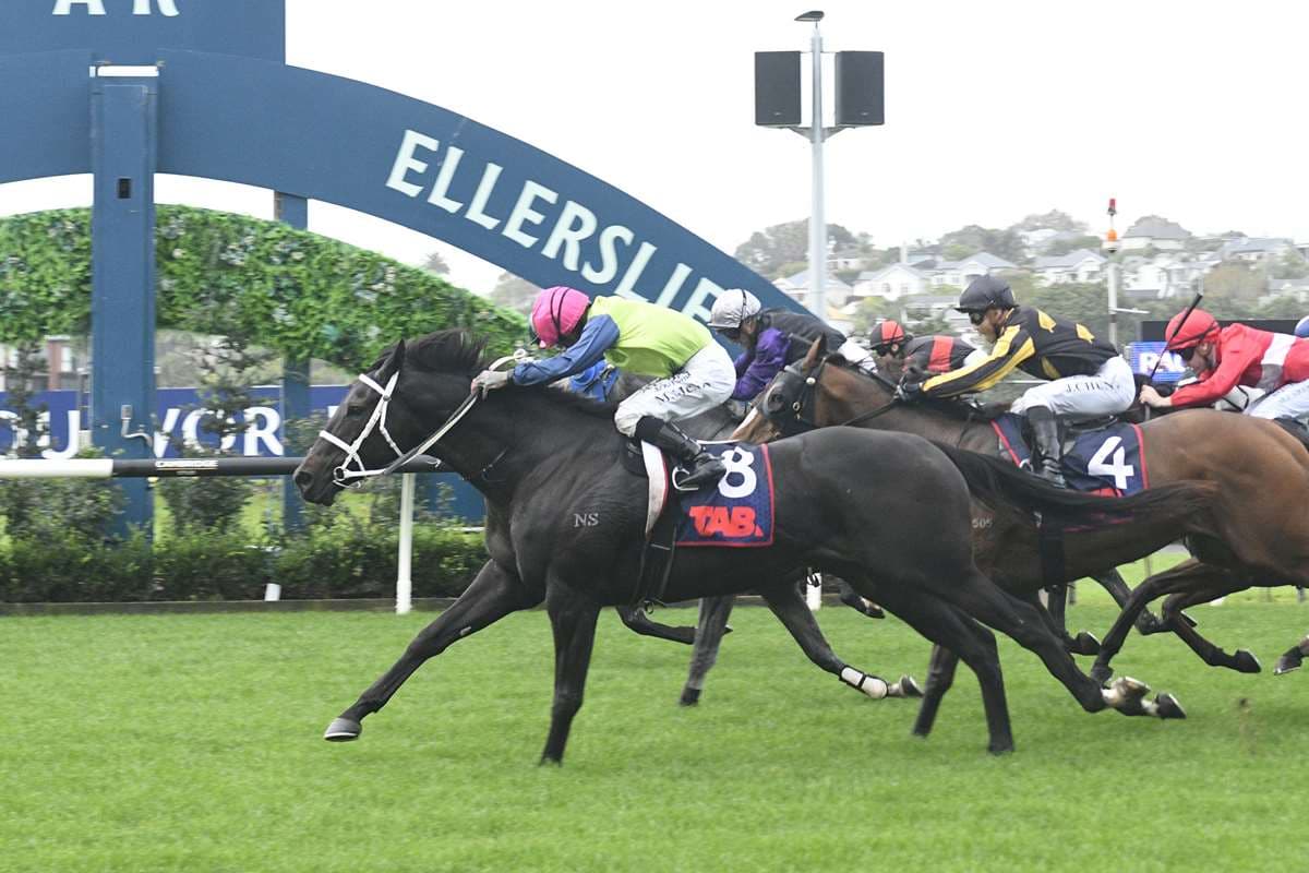 Exciting juvenile to debut at Ōtaki