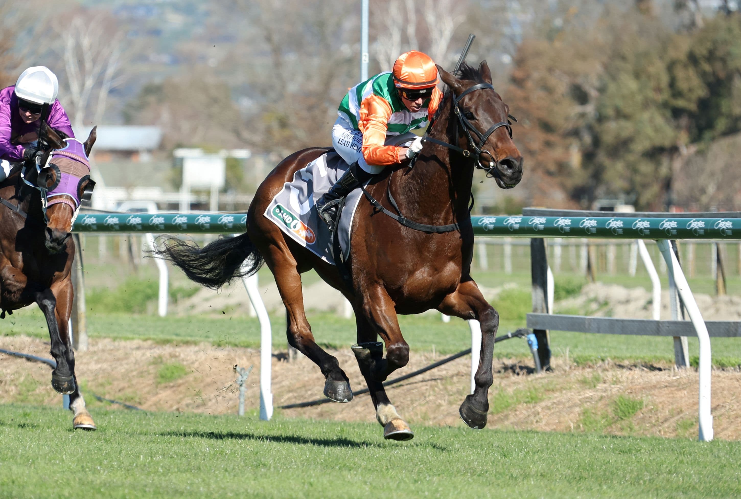 Handy win for Knock Off at Hastings