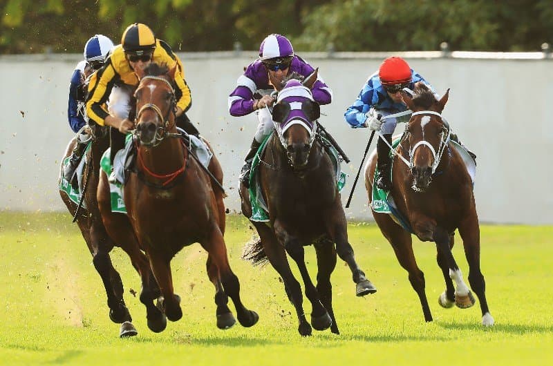 “Serious winning chance”: Gannon's Wednesday plays at Canterbury (09/07)