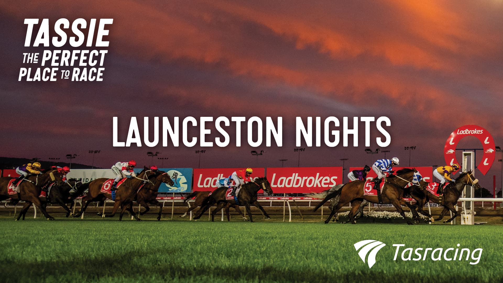 Tasmanian Friday nights featured on Racing.com