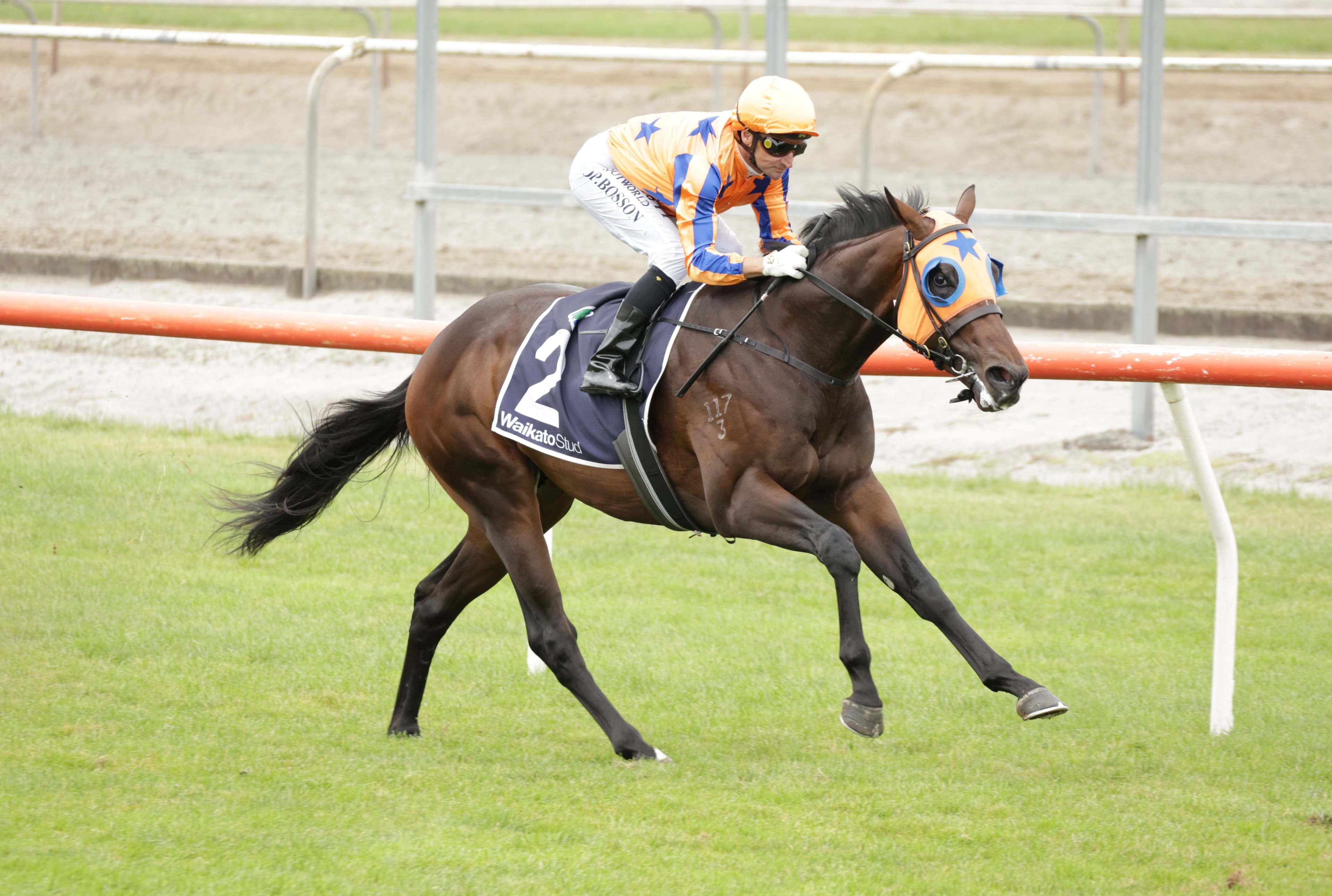 Promising juvenile seizes the day at Matamata