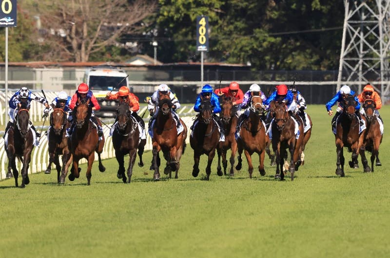 The UPC Showdown Roughie Report for Caulfield and Newcastle (16/11)