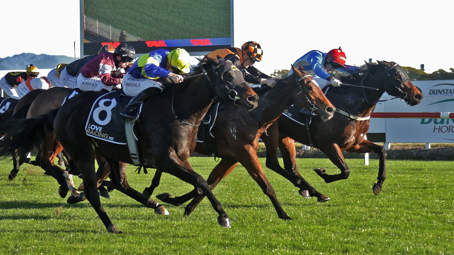 Tristar bounces back to winning form at Te Rapa