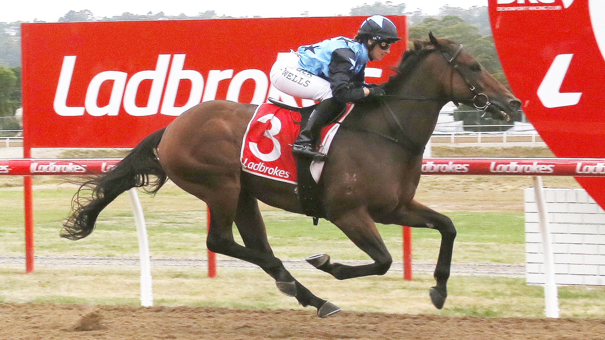 Tasracing's Friday best bets at Launceston (27/03)