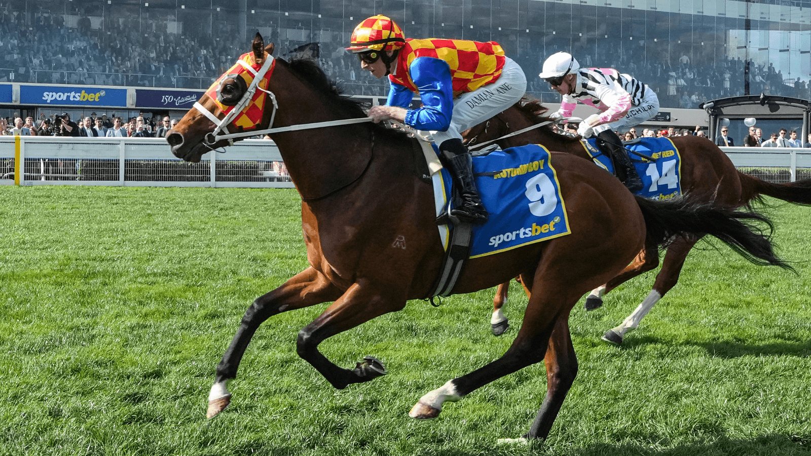 Top 6: David Taggart's latest jockey seeds (16/10)
