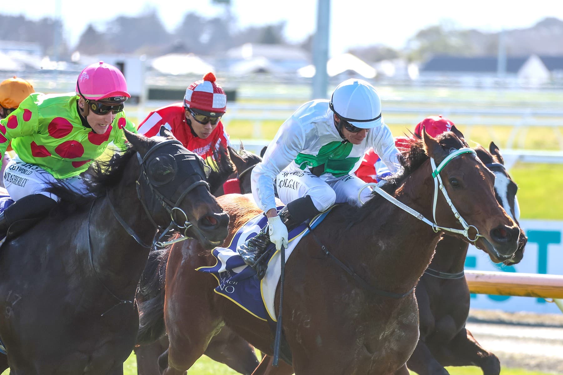 Colgan gets early double at Riccarton