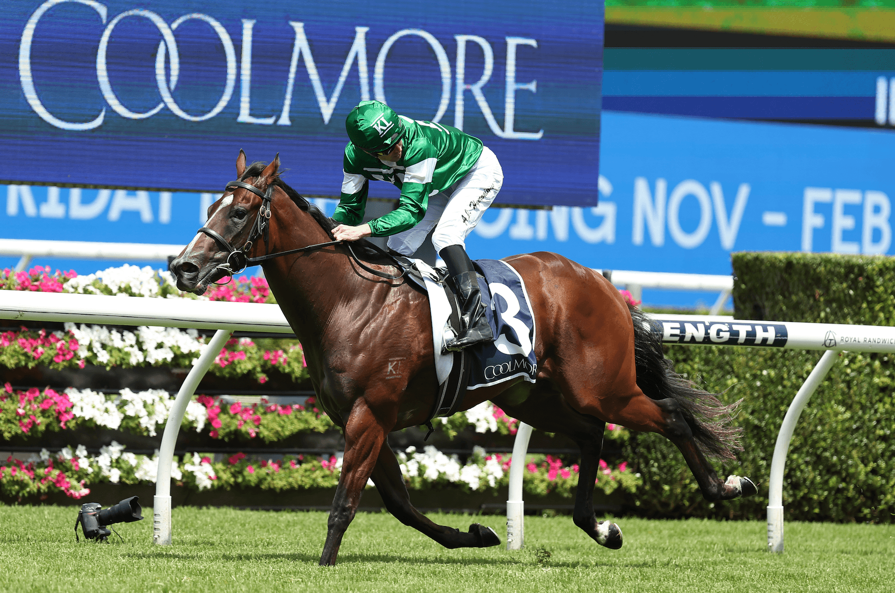 “Just wins”: Form analysts targeting two key runners at Randwick on Saturday