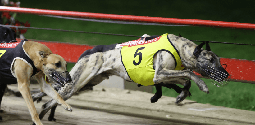 Bailey eyes Million Dollar Chase glory - and plans to share!