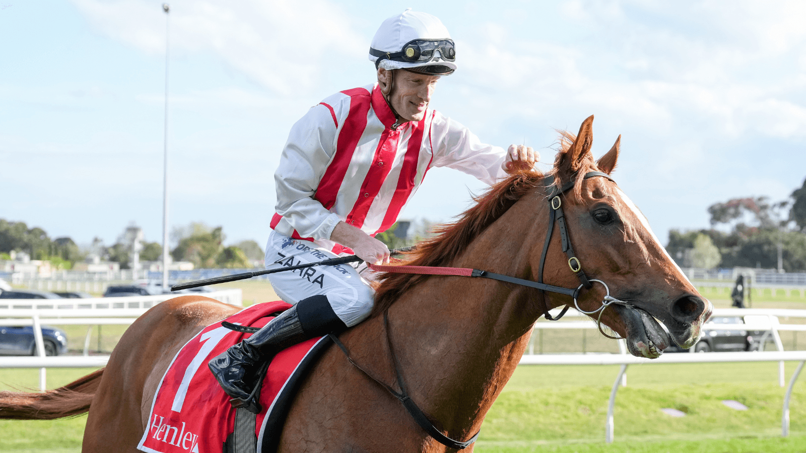 "Star": Giga Kick finally wins Champions Sprint