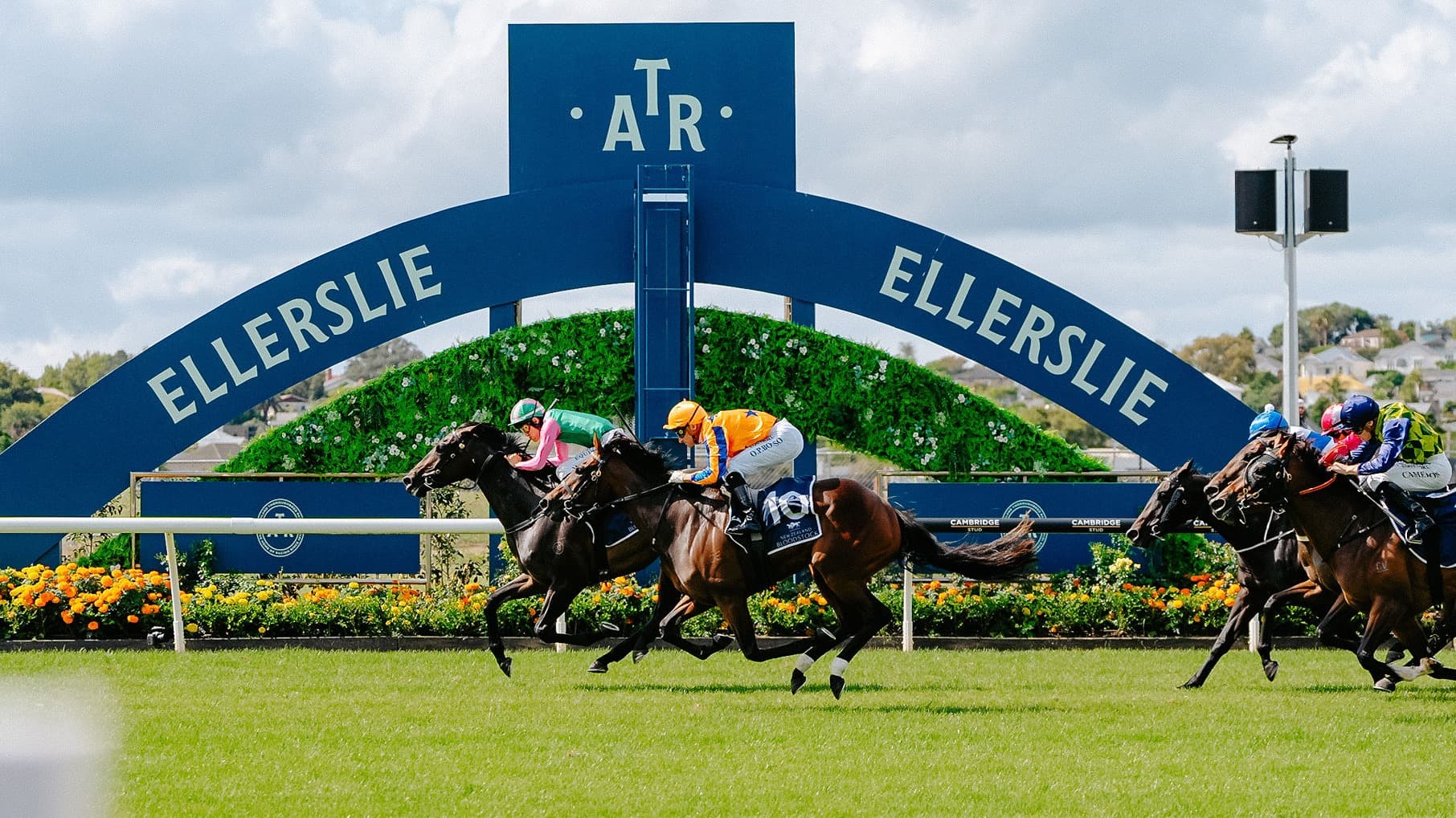 World Pool coming to Karaka Millions