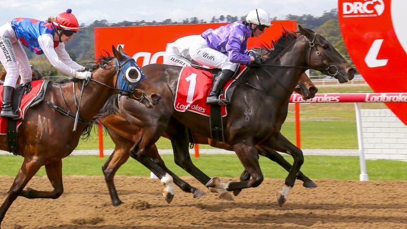 Tasracing's Wednesday best bets at Launceston (12/11)