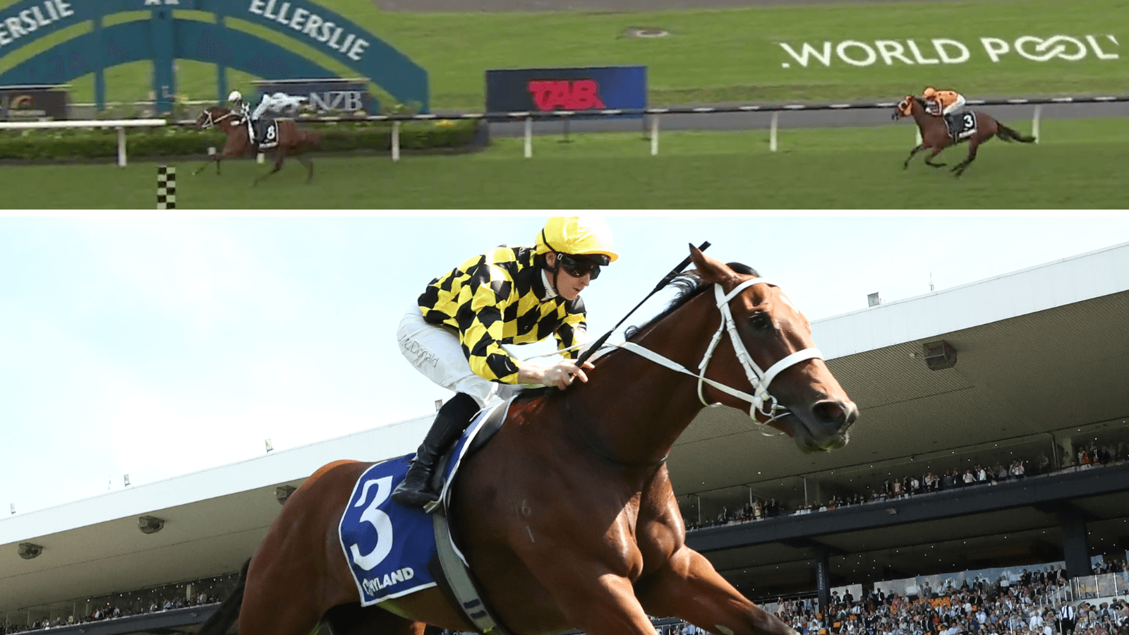 Well Written v Autumn Glow: Which emerging star is better?