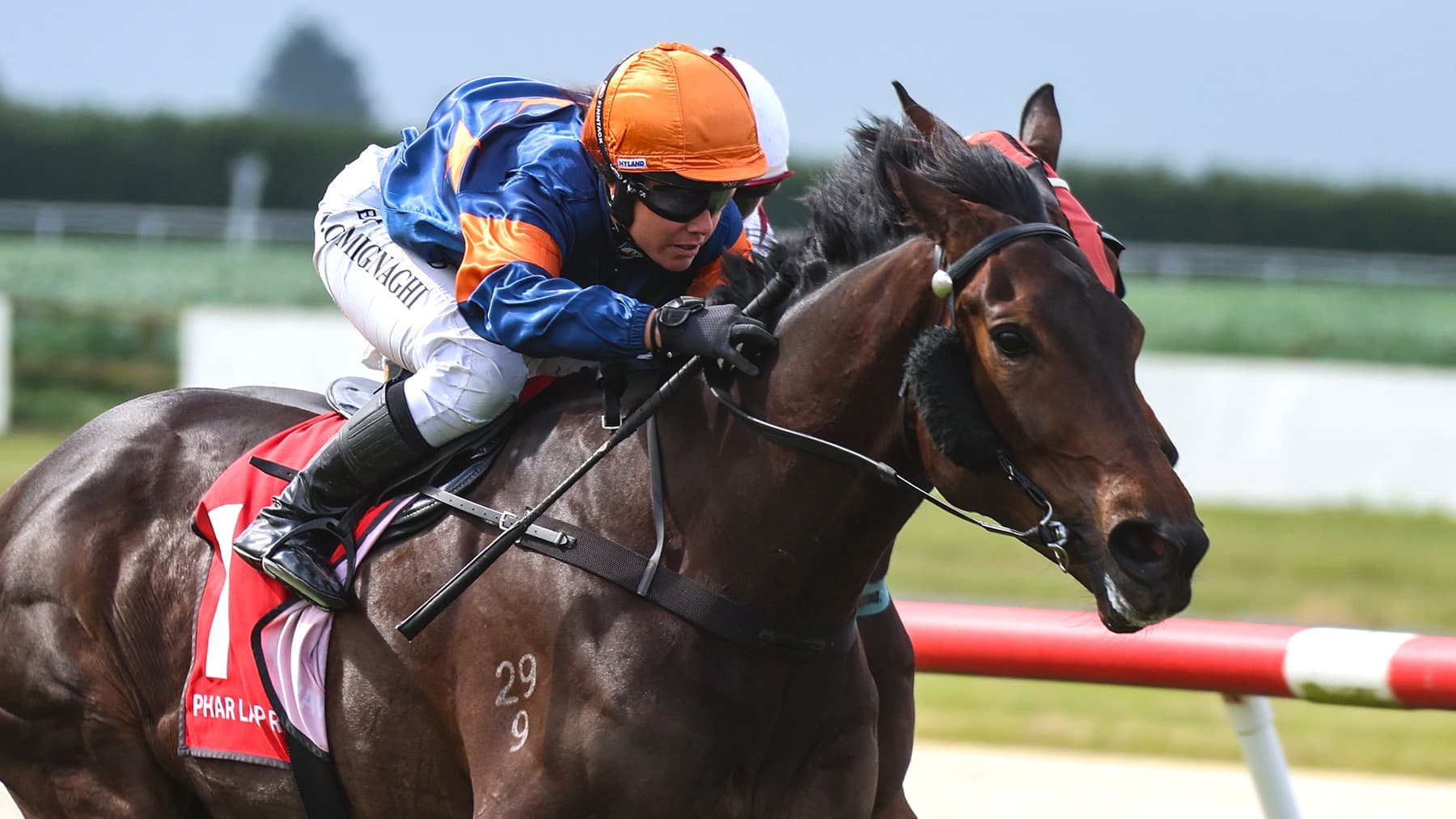 Faulkner seeking fairytale milestone at Phar Lap centenary