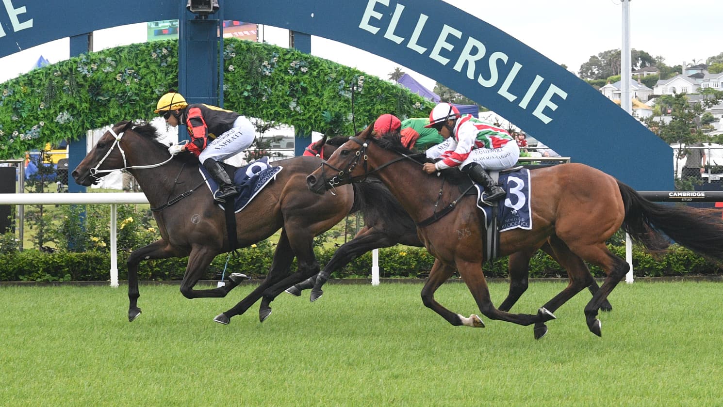 Marsh gets Christmas wish with Provence