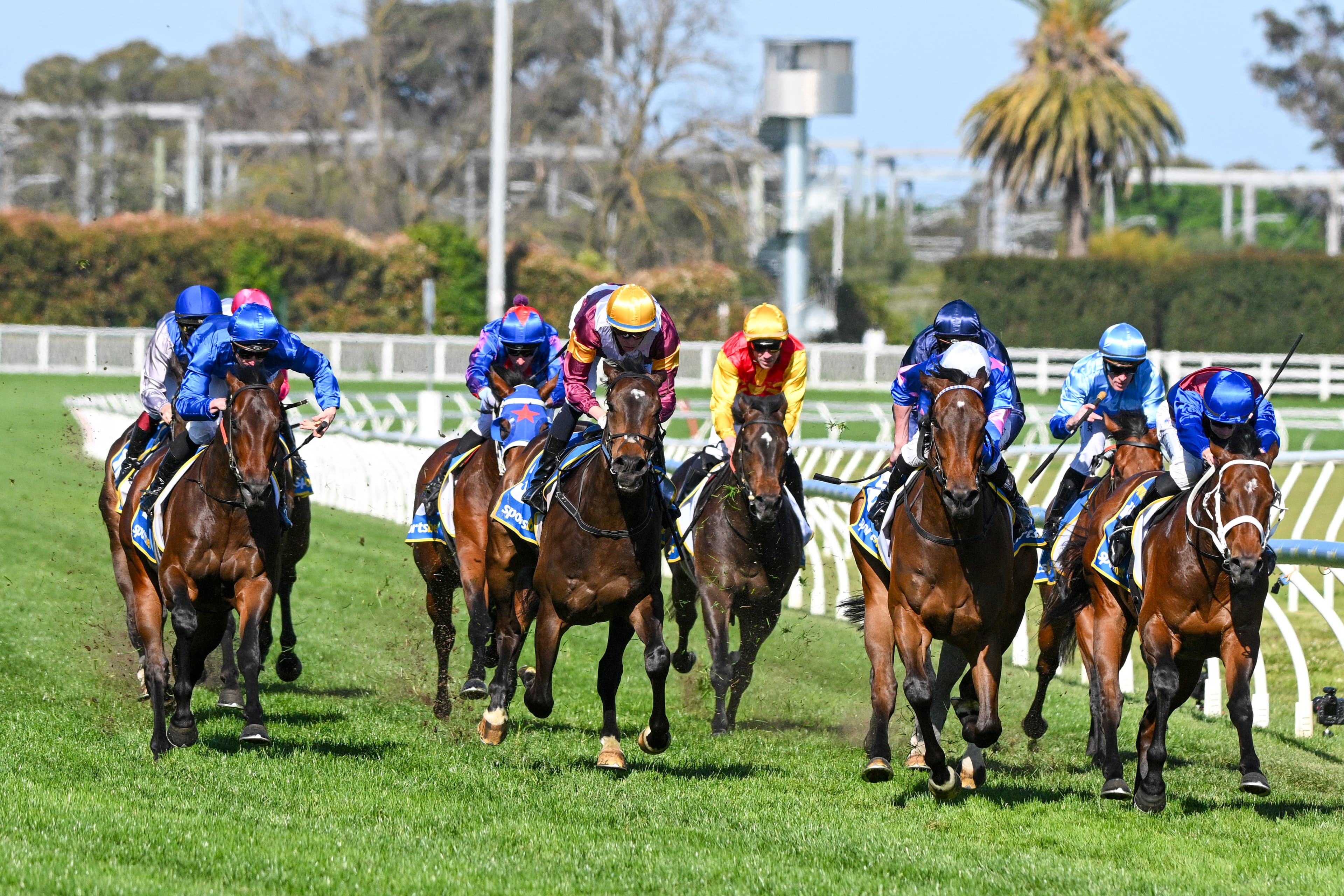 “It lines up perfectly”: Form gurus keen to kick off Derby Day with an early winner