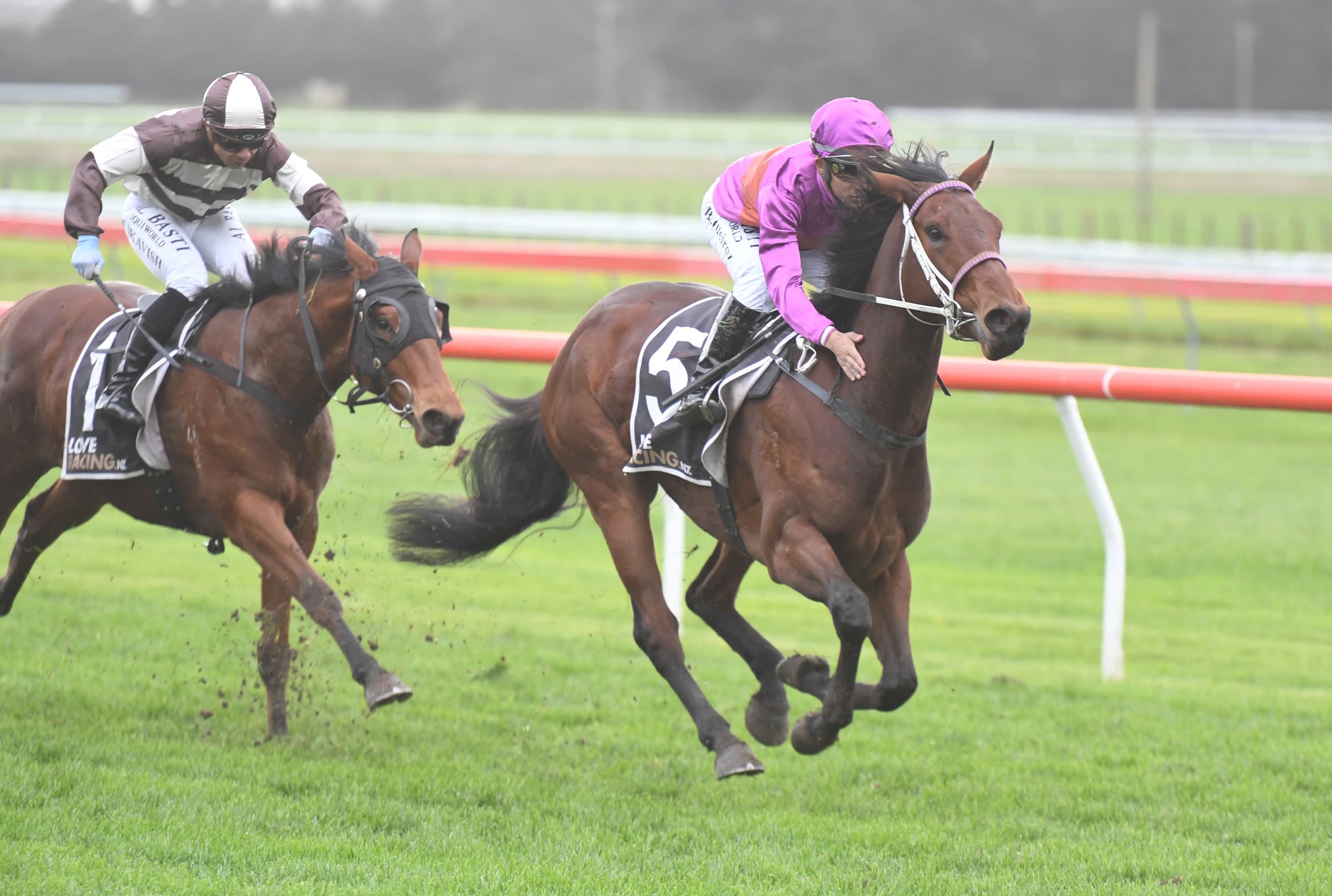 Platinum Diamond set to shine in Wanganui Guineas