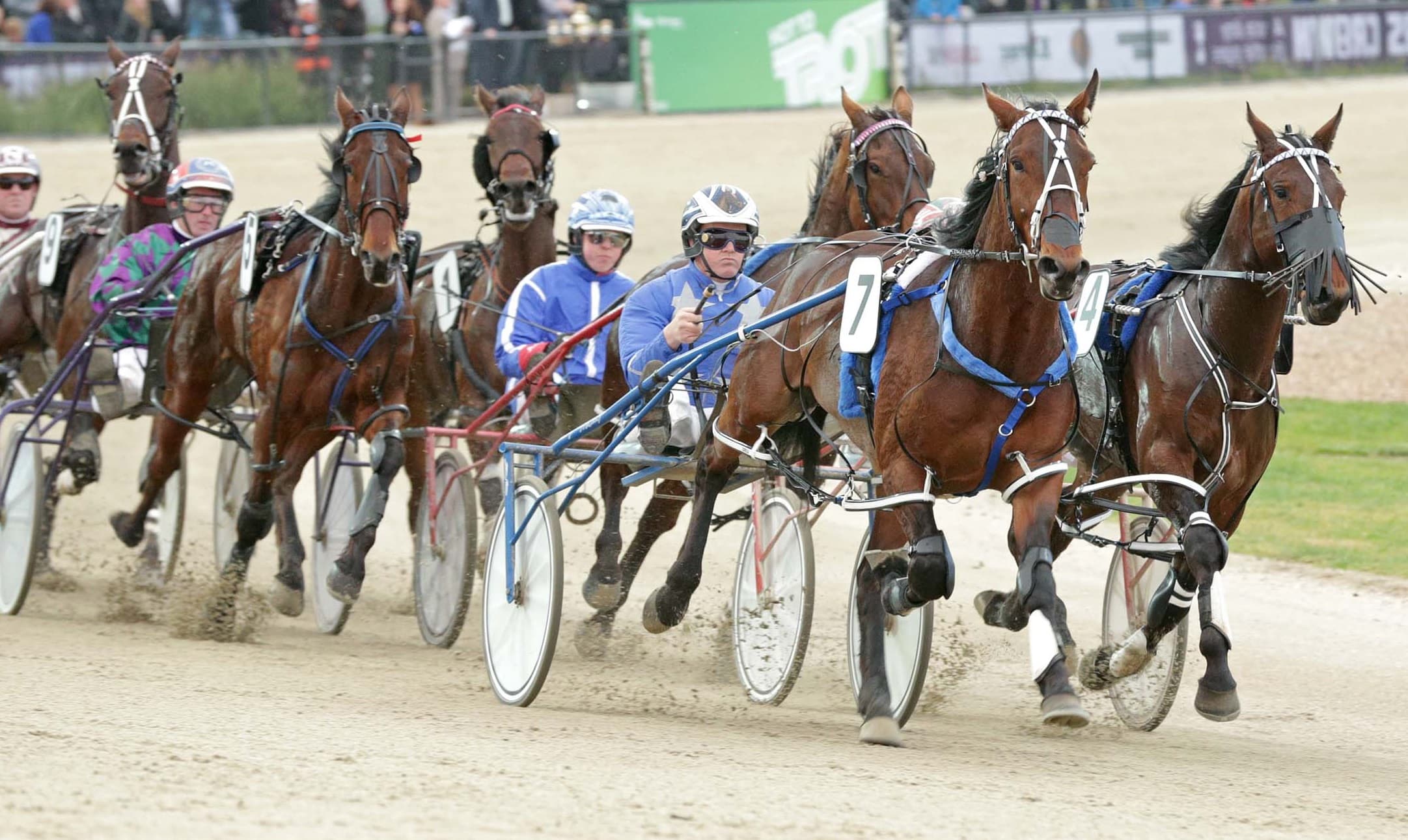 Friday night best bets & punting strategy at Swan Hill (01/11)