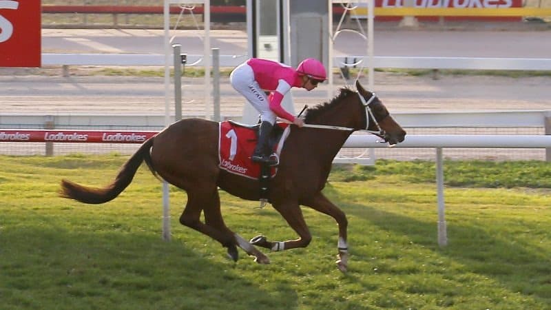 Tasracing's best bets for Longford (01/1)