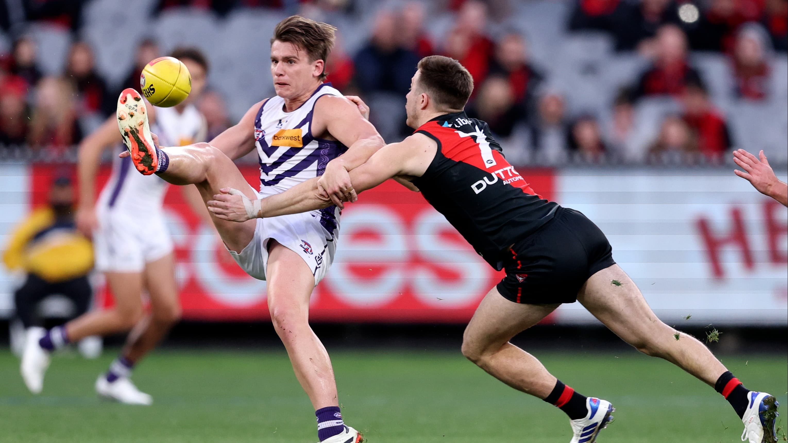 Who will win and why? Tips and predictions for AFL Round 15