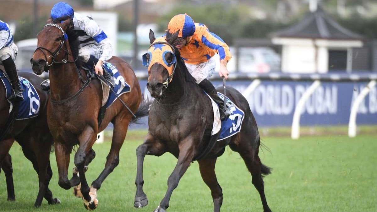 Stable hoping Quintessa can overcome less than ideal build-up