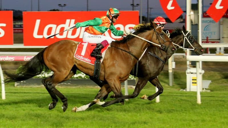 Tasracing's Friday best bets at Launceston (24/10)