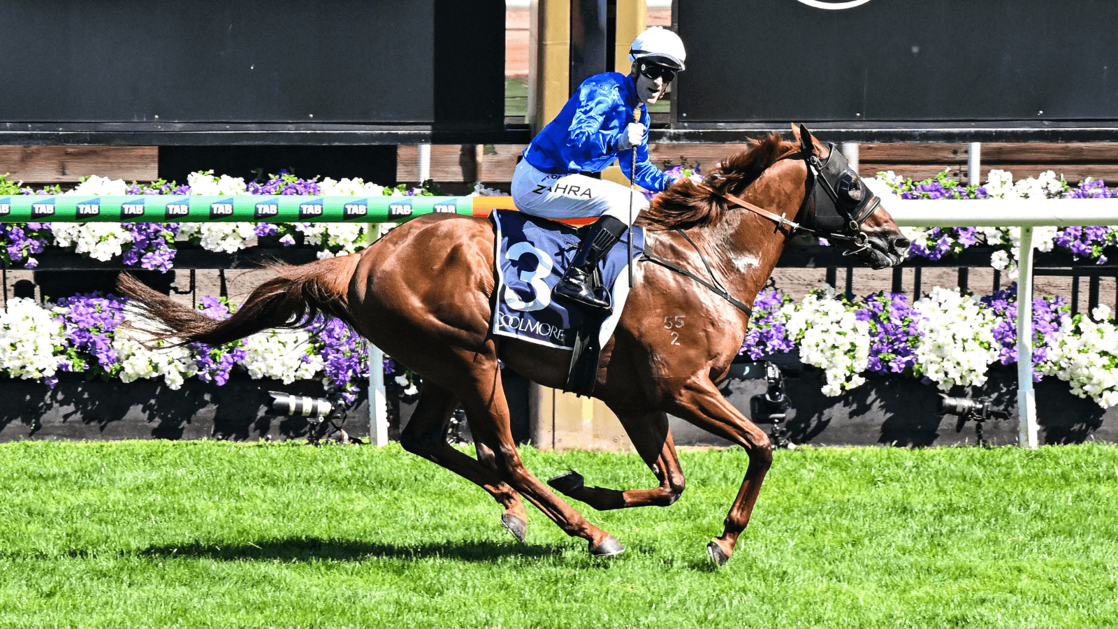 "Quirky horse": Zahra on Tentyris' barrier trial