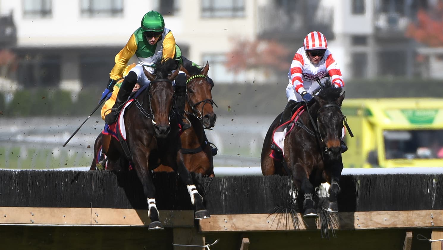 Squire on track for Waikato Hurdle
