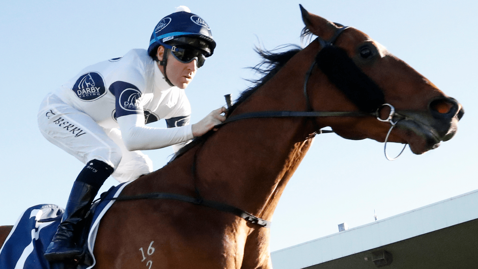 Berry breaks down what happened with J-Mac at Rosehill