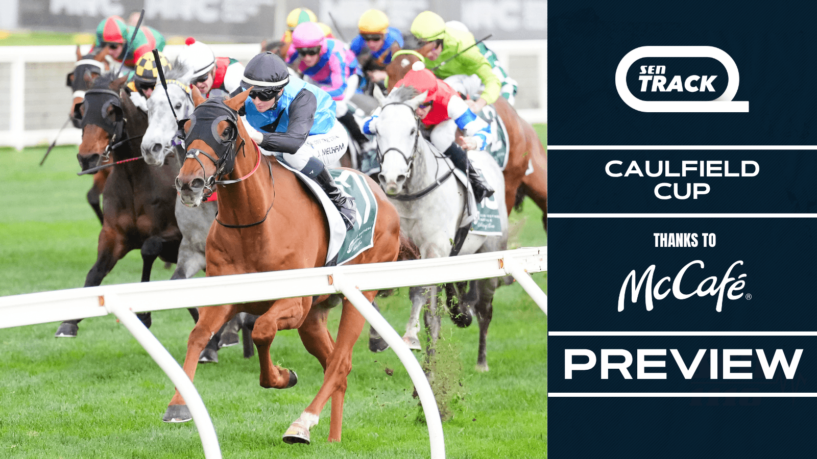 The horse to beat in the 2025 Group 1 Caulfield Cup