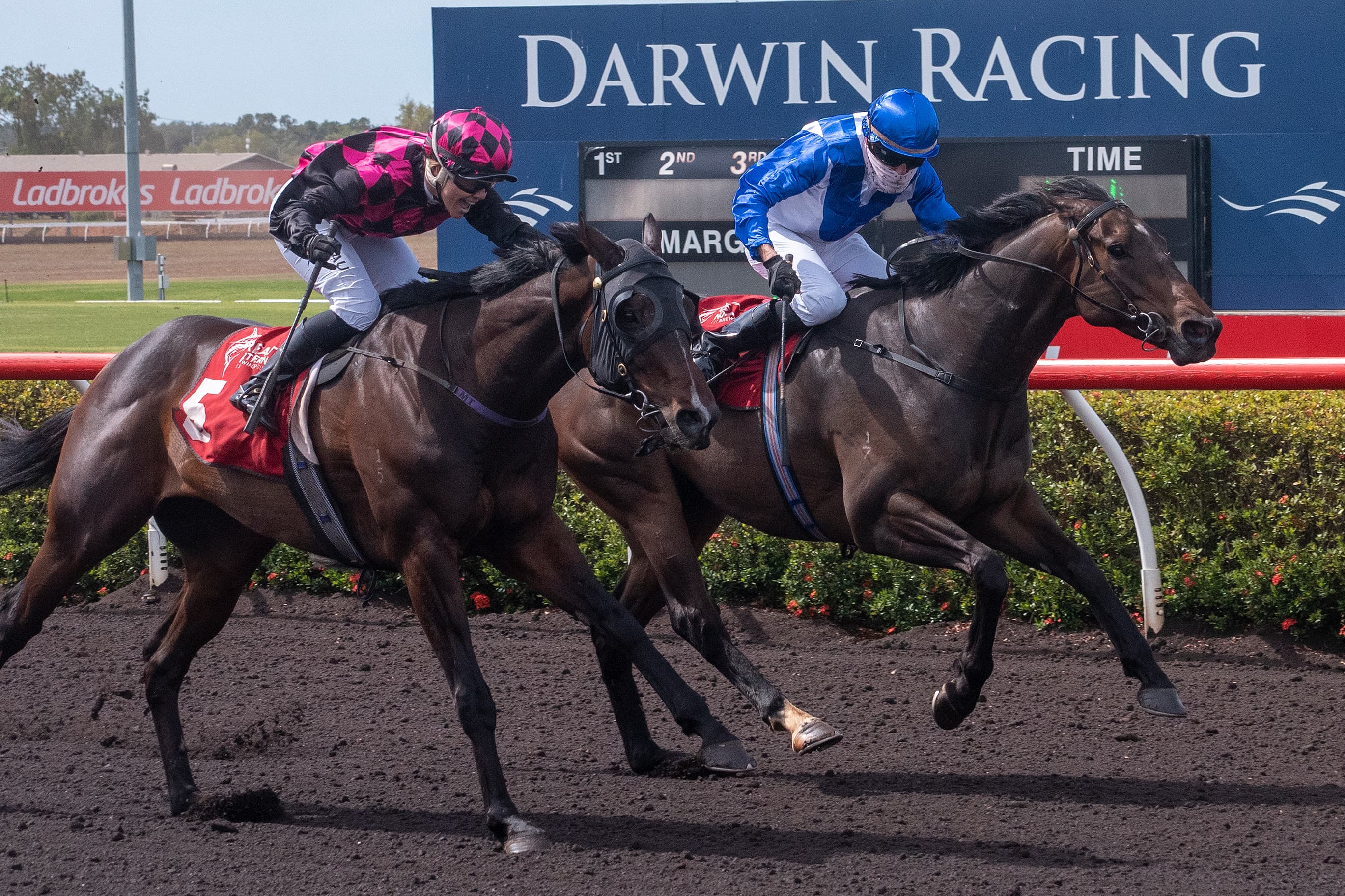 SENTrack: Andrew O’Toole’s Tuesday best bets at Darwin (05/11)